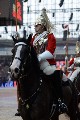 Cavalry - 00242